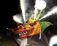 Chinese New Year of the Dragon 2012